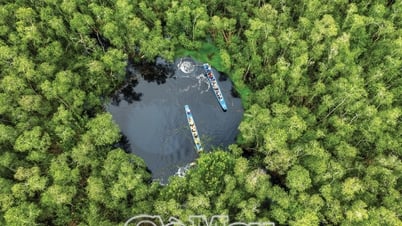 南部の森林地帯の美しさに溶け込む