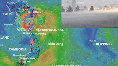 Gegen 15-18 Uhr wird Sturm Nummer 5 Kajiki auf Land treffen, neueste Prognose für das Sturmlandegebiet