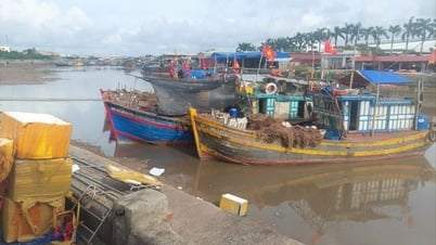 Hai Phong calls on 1,476 ships and boats to take shelter safely before storm No. 5