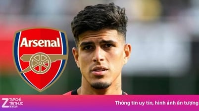 أرسنال يُشعل جنون سوق الانتقالات بصفقة ضخمة بقيمة 60 مليون يورو