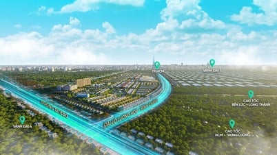 Dual-function commercial street, owns a "golden" location connecting Ho Chi Minh City in just 5 minutes, price from 4.99 billion VND
