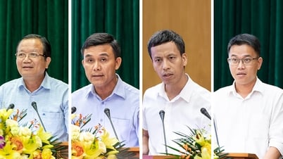 バクニンライチの価値、地位、競争力の向上