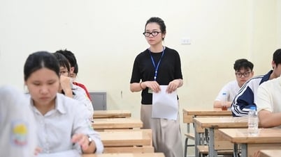 벤치마크 점수에서 본 교육학 그룹의 매력