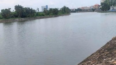 Công ty Khai thác thủy lợi An Hải nâng cao chất lượng nguồn nước thô cung ứng