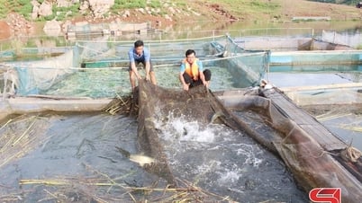 ムオン・サイが勃発し立ち上がる