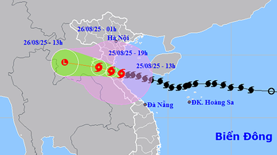 Sturm Nr. 5 an der Küste von Nghe An - Ha Tinh, Khanh Hoa Seegebiet hat Windböen der Stufe 7