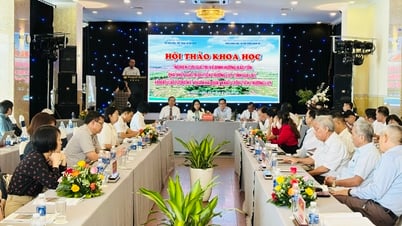 Hội thảo nghiên cứu và định hướng bảo tồn, phát huy giá trị di tích Trường Lũy tỉnh Gia Lai