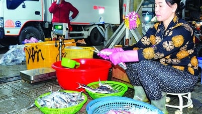 卸売市場の夜 - パート1：夜市で過ごす
