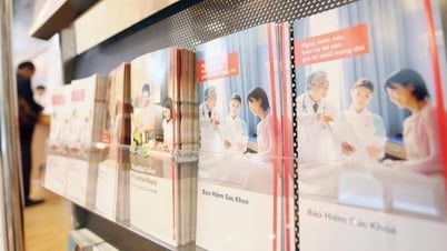 財務省、保険会社への検査を中止、専門分野のみ検査へ