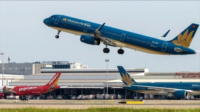 Plans flexibles pour la planification des vols et les transferts aéroportuaires lorsque la tempête n° 5 touche terre