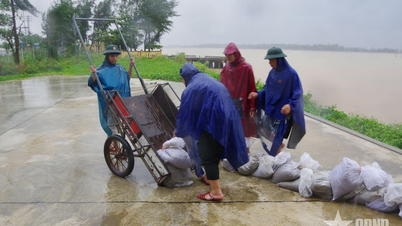 กองกำลังรักษาชายแดนจังหวัดเหงะอานดำเนินการเชิงรุกเพื่อรับมือกับพายุหมายเลข 5