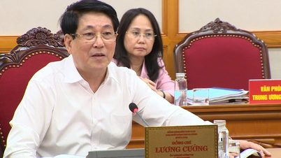Präsident Luong Cuong: Gia Lai muss Solidarität und Einheit innerhalb der gesamten Partei aufbauen