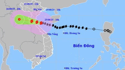 Bộ Văn hóa, Thể thao và Du lịch ra công điện tập trung ứng phó khẩn cấp bão số 5