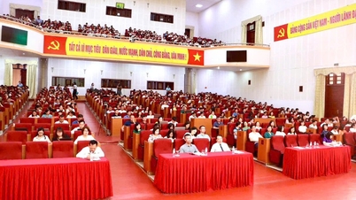 교육훈련부: 2025년 여름 정치 훈련