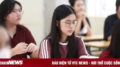 Plus de 5 points/matière ont également été passés par les meilleures universités