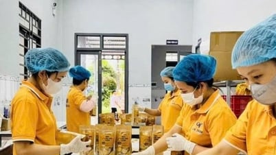 Verbesserung der OCOP-Produkte in Berggemeinden