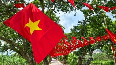 9月2日の建国記念日、フンイエンの古代の竜眼の木には赤い旗が飾られている