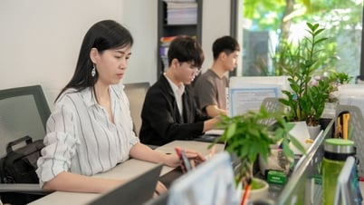 Grand Stevie Awards: Zeichen der Innovation aus Vietnam