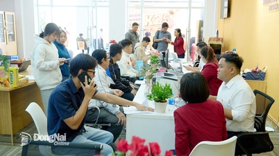 ពិន្ទុចូលសាកលវិទ្យាល័យជាមធ្យមនៅ Dong Nai គឺខ្ពស់ជាងឆ្នាំមុនៗ។