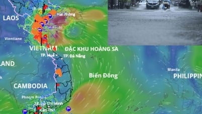 ពេលវេលាដែលព្យុះទី 5 Kajiki បោកបក់ខ្លាំង ការព្យាករណ៍គឺសម្រាប់តំបន់នេះនឹងមានខ្យល់បក់ខ្លាំងកម្រិត 14-15 ។