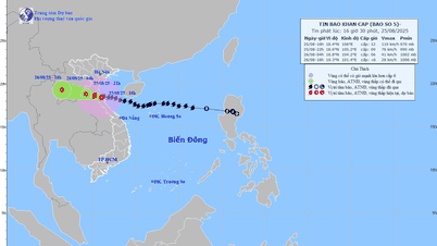 Es wird prognostiziert, dass Sturm Nr. 5 in den nächsten 3–6 Stunden im Gebiet Nord-Ha Tinh – Süd-Nghe An auf Land treffen wird.