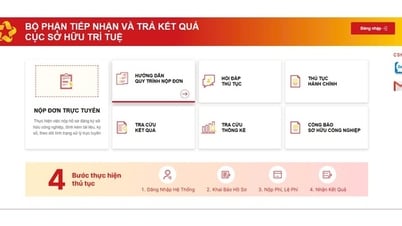 Das Amt für geistiges Eigentum schult, um die Effizienz der Nutzung öffentlicher Online-Dienste zu verbessern