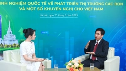炭素市場開発における国際的な経験とベトナムへの提言