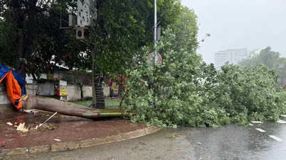 Nghe An kündigt vorübergehende Straßensperrung an, um Sturm Nr. 5 zu verhindern