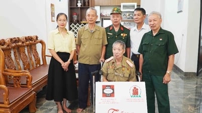 Provincial Association of Victims of Agent Orange/Dioxin presents wheelchairs to members