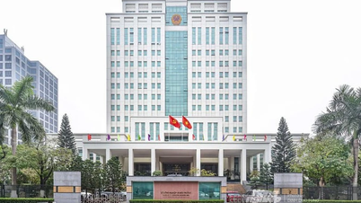 Hoàn thành tổ chức lại một số đơn vị sự nghiệp công lập trực thuộc Bộ Nông nghiệp và Môi trường trước ngày 1/1/2026