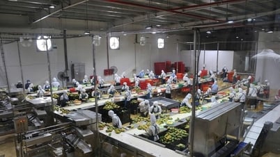 손라는 북서부 지역의 첨단 농업 지역이 되는 것을 목표로 합니다.