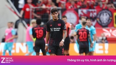 Weiterer Leistungsträger will Leverkusen verlassen