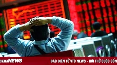 L'indice VN a perdu 13 points, une action a soudainement « fait des vagues »
