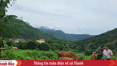ทรัพยากรเพื่อช่วยเหลือครัวเรือนยากจนในพื้นที่ภูเขาเพิ่มขึ้น