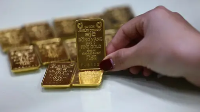 سعر الذهب اليوم 25 أغسطس: ارتفع سعر الذهب إلى مستوى قياسي بلغ 127 مليون دونج/تيل.