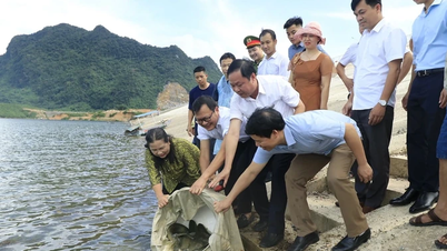 Freilassung von 1 Tonne Fischbrut im Canh Tang See