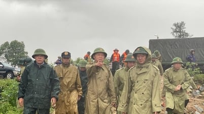 8월 25일 오전 11시 예보에 따르면, 5호 폭풍이 중부 베트남 본토에 영향을 미칠 것으로 예상됩니다.