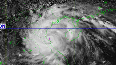 LATEST NEWS ON STORM NO. 5 (AT 13:00 ON AUGUST 25)