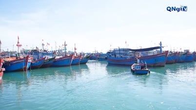 Focus on thoroughly resolving existing problems in combating IUU fishing