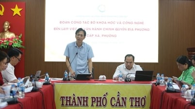Can Tho promotes digitalization of documents, connecting online public services
