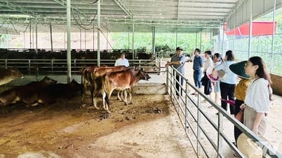 สหกรณ์หลายแห่งเสนอการสนับสนุนด้านเงินทุนและการเปลี่ยนแปลงทางดิจิทัล