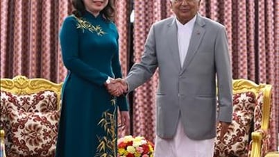 50 Jahre Beziehungen zwischen Vietnam und Nepal: Eindrücke von hochrangigen Besuchen