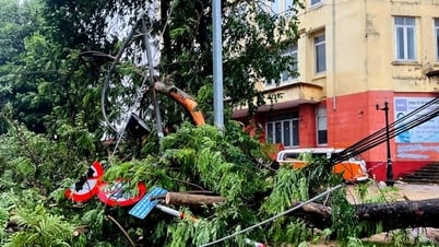 Le Premier ministre ordonne de se concentrer sur la gestion des conséquences de la tempête n° 5 et sur la réponse aux inondations