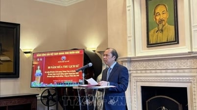 Agencias vietnamitas en EE. UU. recuerdan los históricos días de otoño