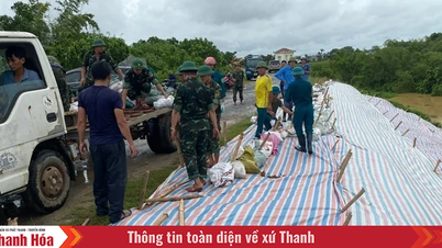 ឃុំ Tho Xuan ផ្តោតសំខាន់លើការដោះស្រាយឧប្បត្តិហេតុនៃការបាក់ទំនប់