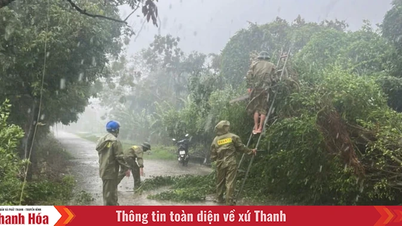 Thanh Hoa continúa con fuertes lluvias generalizadas, advirtiendo de inundaciones repentinas y deslizamientos de tierra.