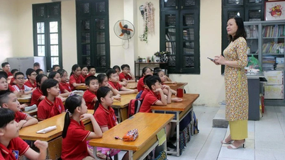 Căn cứ xét chuyển qua Giáo viên tiểu học hạng II?