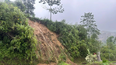 Sa Pa ជំនះ​ផល​វិបាក​នៃ​គ្រោះ​ធម្មជាតិ​ជា​បន្ទាន់