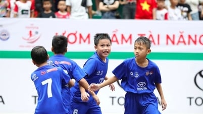 2025년 전국 U9 토너먼트: Viet Hung Thanh Hoa가 우승을 차지했습니다.