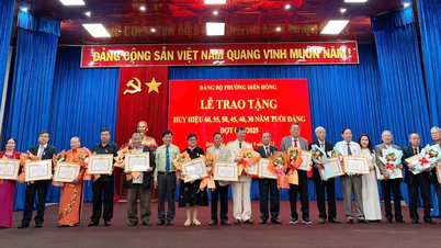 វួដ ឌៀន ហុង បានប្រគល់ផ្លាកសញ្ញាបក្សដល់សមាជិកបក្សចំនួន ៥៣ នាក់ក្នុងសម័យកាល ២-៩។